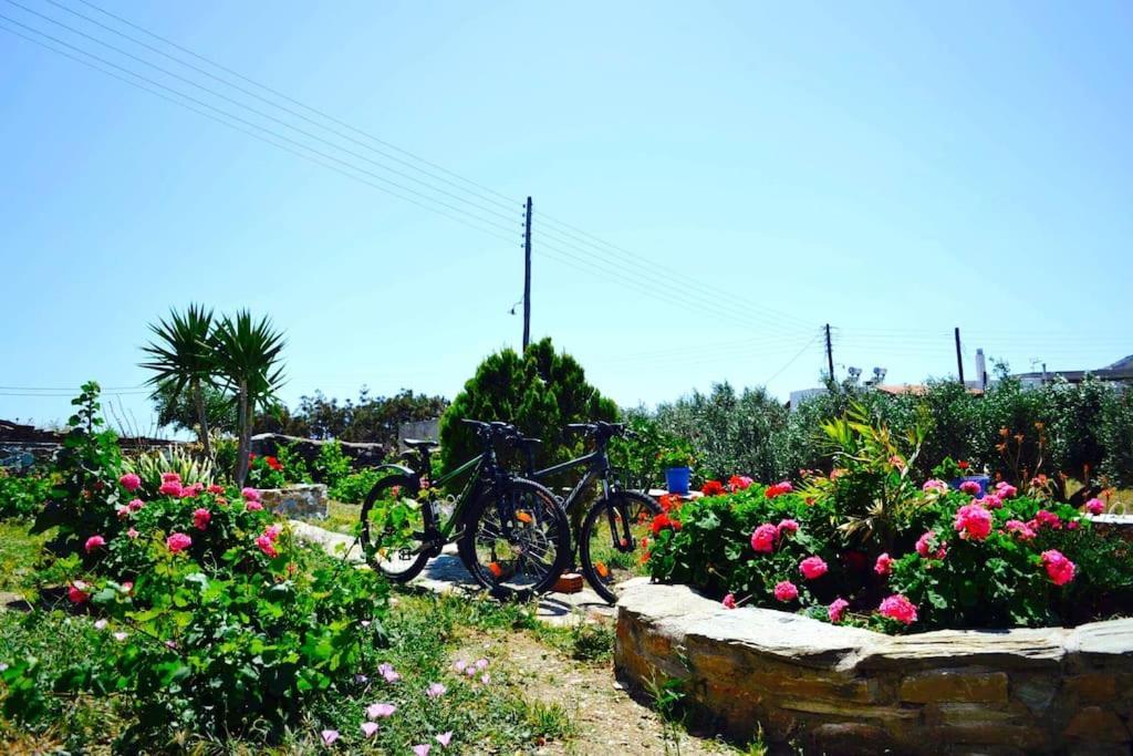 Appartement Cozy, Newly Renovated In Gavrio. *