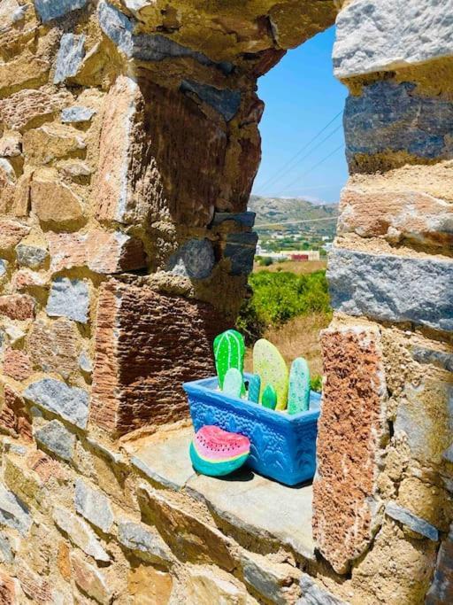 Cozy, Newly Renovated In Gavrio. Apartment *
