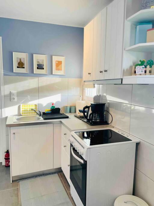 Cozy, Newly Renovated In Gavrio. Appartement