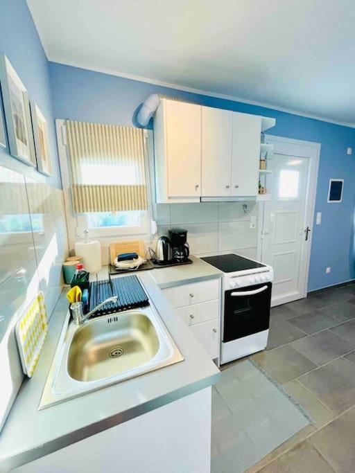 Cozy, Newly Renovated In Gavrio. Appartement *