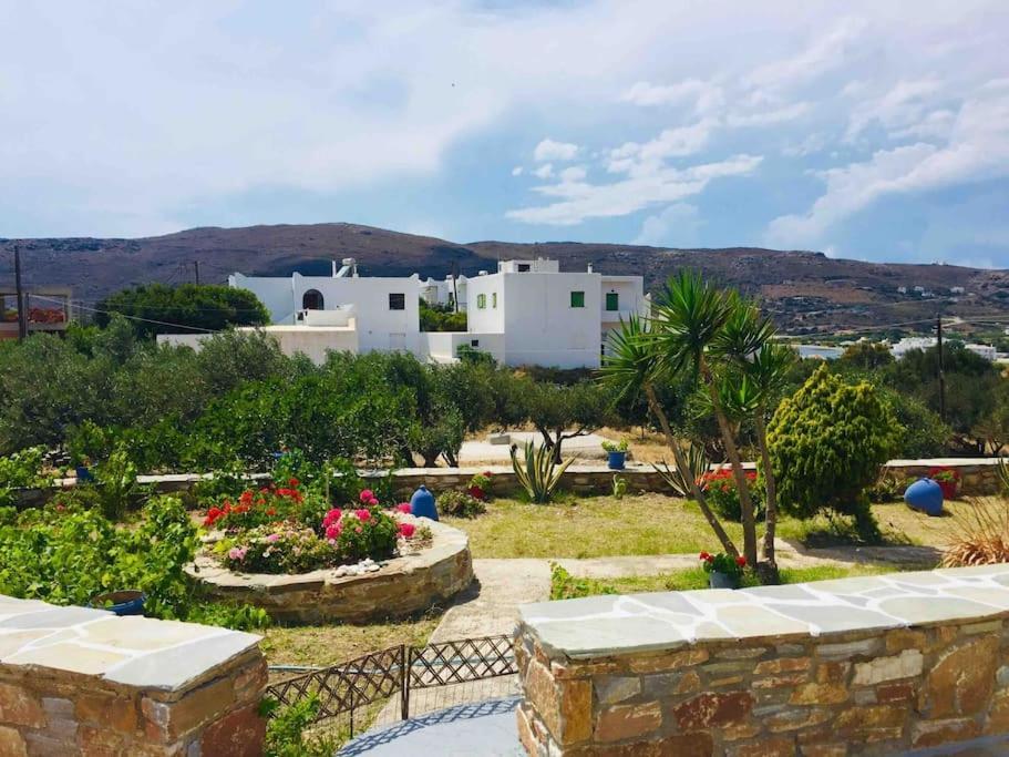 Apartment Cozy, Newly Renovated In Gavrio.